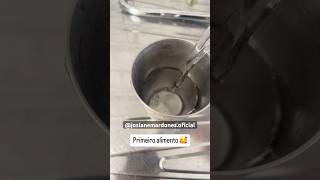 Comece seu dia tomando água rotinamatinal rotinasaudavel bebaagua agua saude rins [upl. by Wojcik978]