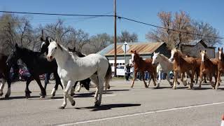 The Great American Horse Drive [upl. by Redfield]