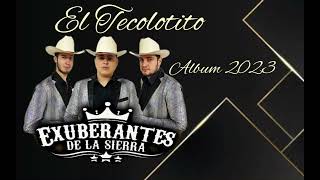 EL TECOLOTITOEXUBERANTES DE LA SIERRAalbum 2023 [upl. by Akitahs445]