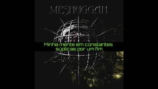 Meshuggah  Concatenation LegendadoTradução [upl. by Manny]