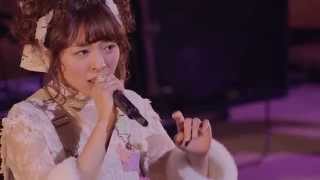 Aki Toyosaki  Sasurai no Mayoeru Koneko Live [upl. by Kendra]