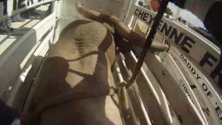 Bull Riders Point Of View [upl. by Adil]