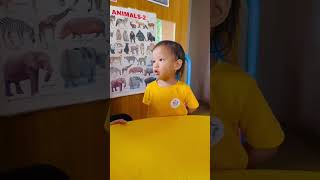 Didini 0098 learning english preschool preschoollearning toddleractivities babygirl [upl. by Brandice]