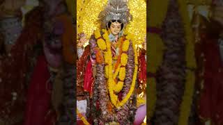 trending laxmipuja song [upl. by Edrick827]