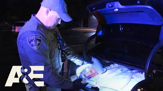 Live PD Top 5 Busts  AampE [upl. by Lehctim]