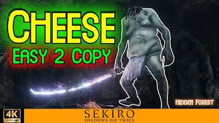 BEST Headless CHEESE hidden forest  Sekiro [upl. by Eineg971]