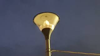 Glowing LED streetlight [upl. by Shawnee]