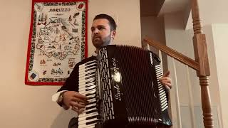 Irish Washerwoman  Accordion [upl. by Annaed]