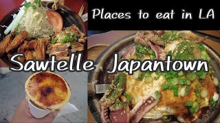 V15 🇺🇲Places to eat in LA  Sawtelle Japantown in Los Angeles California [upl. by Dloreg]