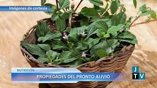 TIP NUTRICIONAL PROPIEDADES DEL PRONTO ALIVIO [upl. by Izmar337]