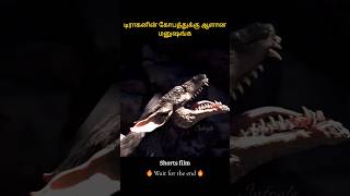 Dragons revenge triggered by humans  டிராகனின் கோபத்துக்கு ஆளான மனுஷங்க [upl. by Dunston42]