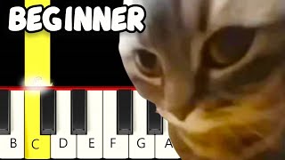 Chipi Chipi Chapa Chapa Dubi Dubi Daba Daba Meme  Fast and Slow Easy Piano Tutorial  Beginner [upl. by Adnauq]