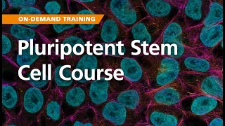 OnDemand Training Pluripotent Stem Cells [upl. by Nivanod]