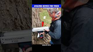 How This Device Check Health Of The Trees😱 [upl. by Aihsile]