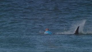 Surfista australiano escapa de ataque de tubarão [upl. by Zorah]