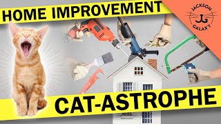 Home Improvement Projects will Stress your Cats [upl. by Adnohsar]