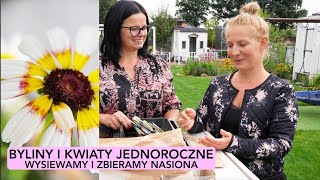 BYLINY I KWIATY JEDNOROCZNE Nasiona byliny i kwiatów jednorocznych kwiaty w ogrodzie Kasia in [upl. by Sherrard]