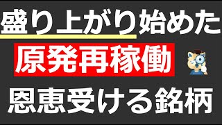 【業界シリーズ】原発再稼働に注目集まる。東電株価は一時11高。原発再稼働で恩恵を受ける銘柄を解説 [upl. by Nywloc699]