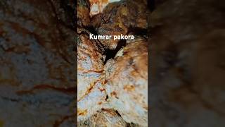 Kumrar pakora full recipe asbe sondhaishortsytshortsrecipeviralhoney [upl. by Ahders]