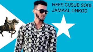 JAMAAL ONKOD HEESTII HA DUUGOOBIN SOOLEEY OFFICIAL VIDEO [upl. by Rossner]