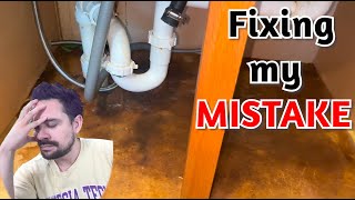 Don’t Make this Mistake Fixing Kitchen Sink Leak [upl. by Enohs874]