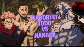 Todo amp itadori vs hanami vostfr [upl. by Slerahc]