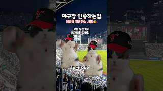 야구장가면 이런 사람 꼭 있다 ⚾😝 [upl. by Festa]