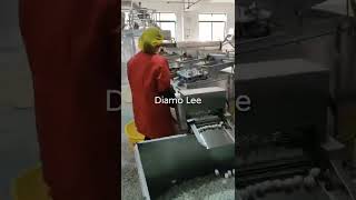 Fully Auto Quail Egg Peeler Processing Plant [upl. by Seavir762]