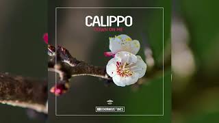 Calippo  Down On Me [upl. by Yebloc]