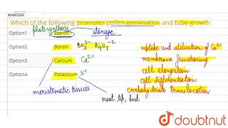 Which of the following promotes pollen gemiination and tube growth [upl. by Mar]