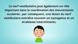 Localisation des lésions cérébrales à travers lévaluation des nerfs crânienschien [upl. by Hanikahs]