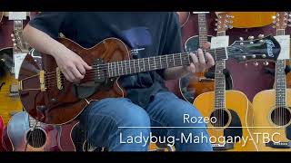 【試奏動画】Rozeo LadybugMahoganyTBC LASTGUITAR [upl. by Aliahs]