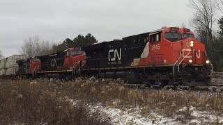 CN train at Pefferlaw [upl. by Ellinger]