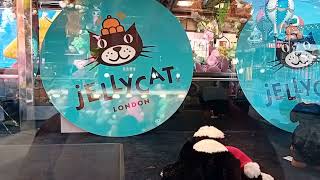 jellycat claw machine hull fair 2024 [upl. by Daht]