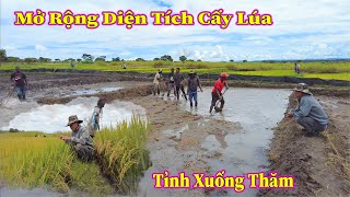 Linh Philip  Phó Chủ Tịch Tỉnh Ngỏ Ý Muốn Xuống Thăm Quan Lúa Nước Tại Việt Phi Farm [upl. by Shenan]