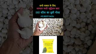 आज 30 नवंबर 2024 दलोदा मंडी लहसुन भाव agriculture lahsunmandi garlicprice farming garlicprice [upl. by Drofniw]