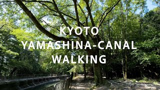 Walking Around in Kyoto Japan Yamashina Canal ASMR 4K  京都 山科疏水の散策 4K [upl. by Lledra590]