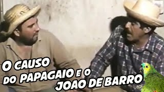 IMBILINO E JUCA  O CAUSO DO PAPAGAIO E O JOÃO DE BARRO [upl. by Leirol]