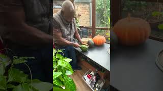 The Callaloo man cutting my very first homegrown watermelon 🍉 [upl. by Assetnoc]