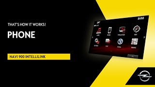 Navi 900 IntelliLink  Phone  Thats How It Works [upl. by Oratnek]