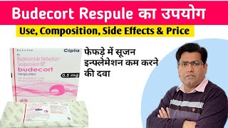 Budecort Respule Budesonide and Inhaler Use Side Effects and Price in Hindi Asthma  COPD [upl. by Riha]