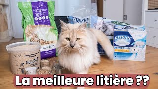 Je teste 6 litières pour chats  agglomérantes minérales végétales  Test amp Avis [upl. by Ethelind]