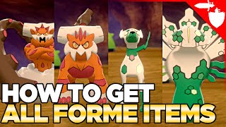 How To Get ALL FORM Changing Items in Pokemon Sword amp Shield DLC Crown Tundra [upl. by Anilorac400]