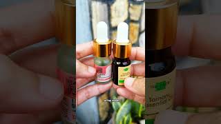 TAMANU OIL Pelembab Wajah Alami [upl. by Arinaid]