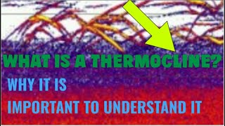 WHAT IS A THERMOCLINE [upl. by Aciamaj956]