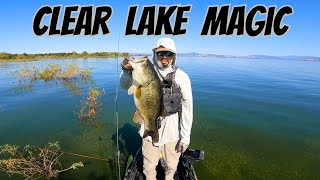 Is Clear Lake the BEST Bass Fishery in the Country [upl. by Anairam]