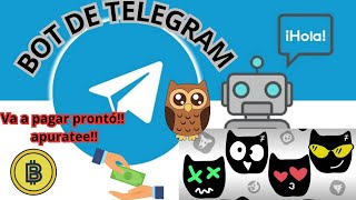 💥RAPIDO Bot Nuevo de Telegram Como Dogs Owl Bot 💥 [upl. by Kcuhc]