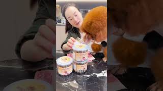 Cute dog celebrity Mao Laoban Confusing behavior of animals Teething sticks Teething snacks [upl. by Aronoh616]