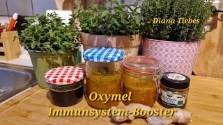 Immunsystem stärken mit Oxymel Einfach selbst gemacht und so gesund und lecker [upl. by Nnaael707]