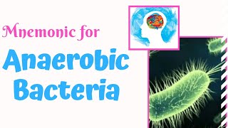 Anaerobic Bacteria Mnemonic for USMLE Step 1  MedSurvival [upl. by Bastian]